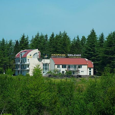Hotel Tsiskari Ianet'i 外观 照片