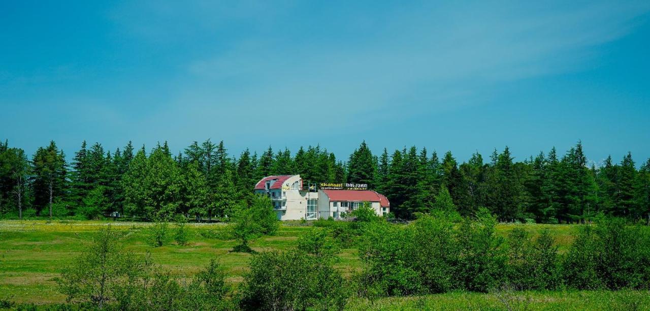 Hotel Tsiskari Ianet'i 外观 照片