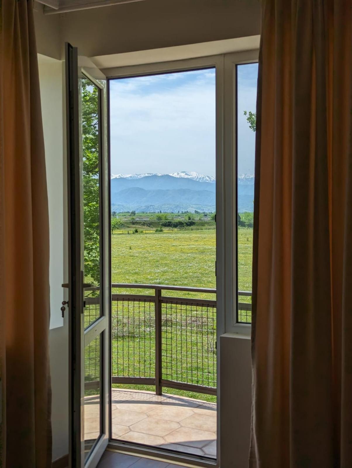 Hotel Tsiskari Ianet'i 外观 照片